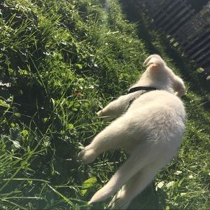 Meet your Posher, Lindsay